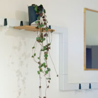 Vij5 Coatrack by the Meter koppelstukken Edwin Pelser (image by Vij5) (27)